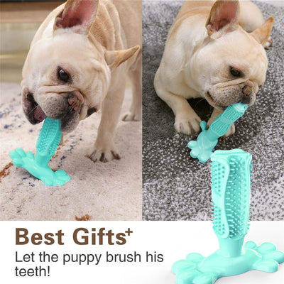 PrimePaws™ Toothbrush Toy