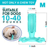 PrimePaws™ Toothbrush Toy