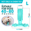 PrimePaws™ Toothbrush Toy